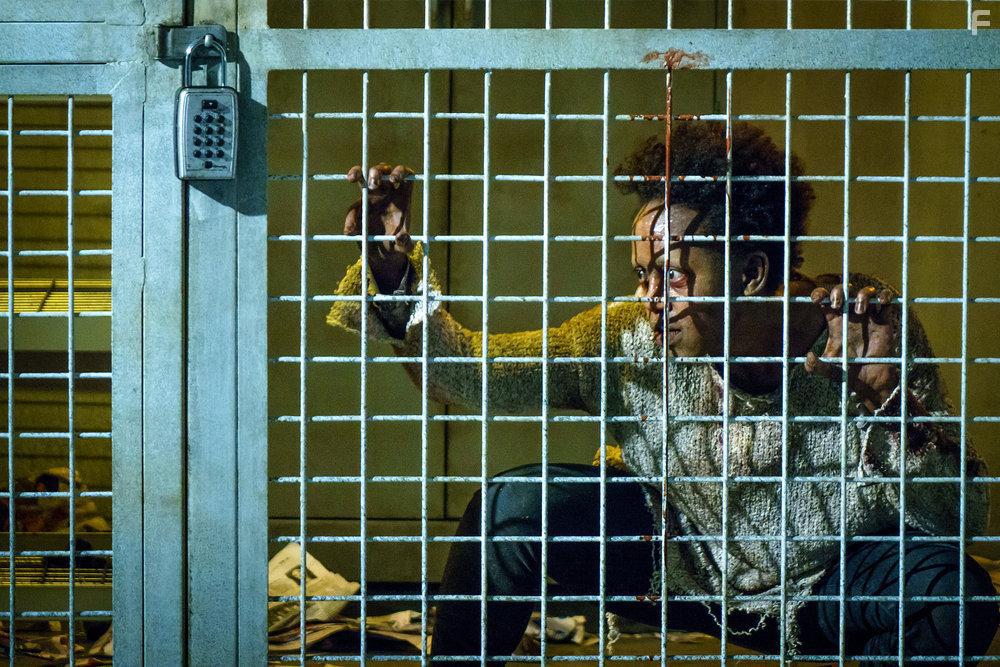 Ван Хельсинг #11