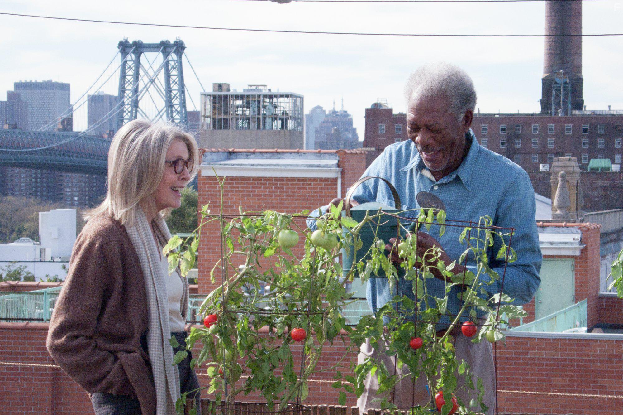 Morgan Freeman and Diane Keaton in 5 Flights Up (2014)