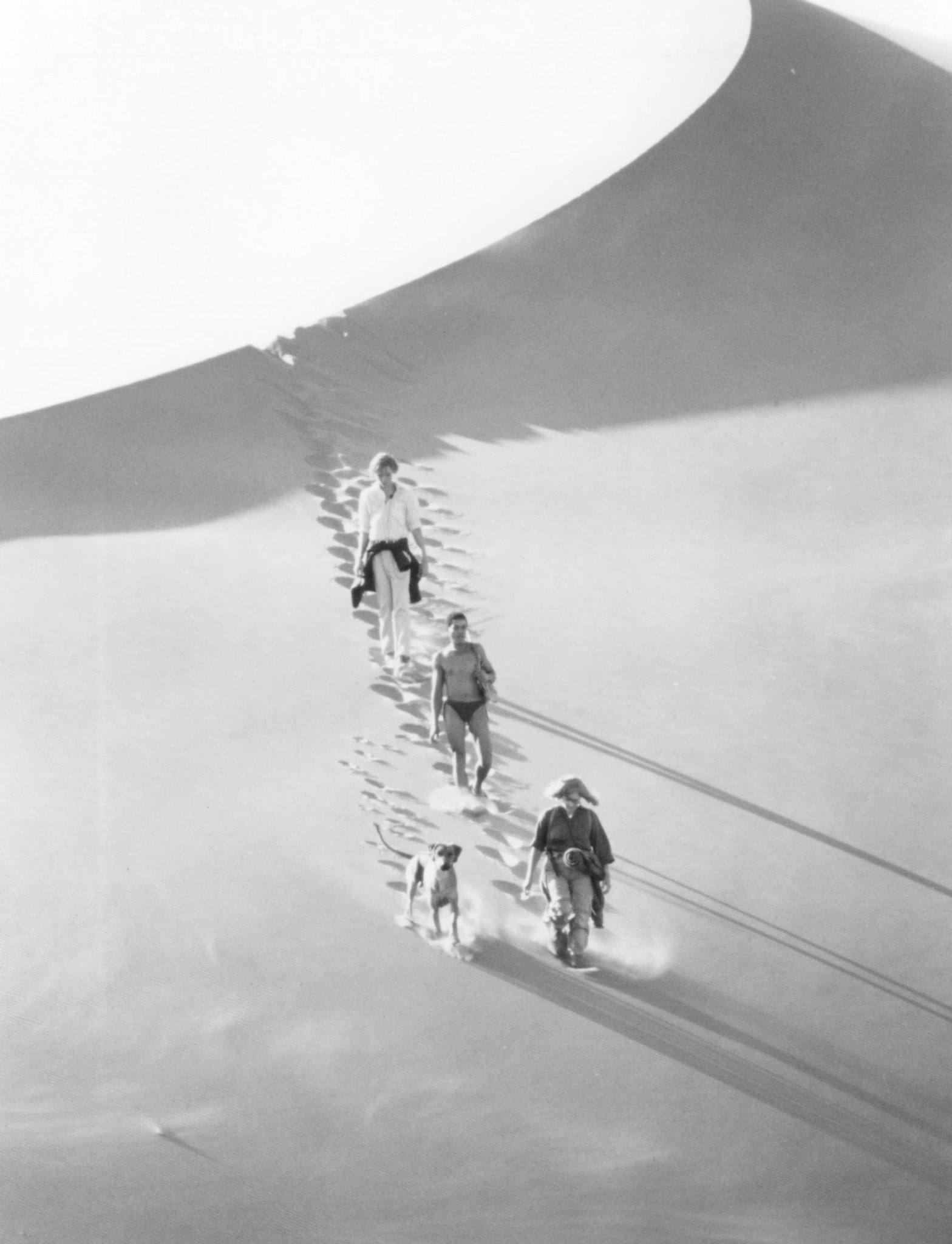 В плену песков