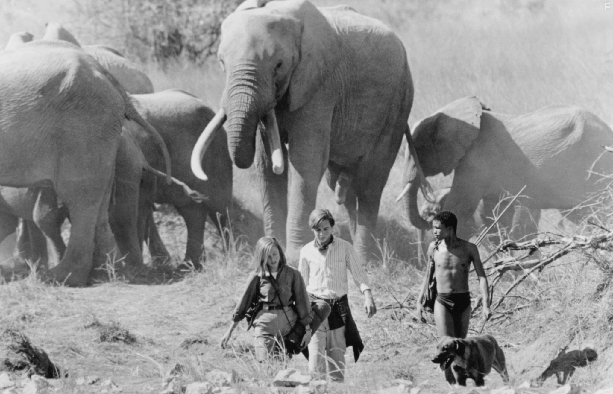 Reese Witherspoon, Sarel Bok, and Ethan Embry in В плену песков (1993)