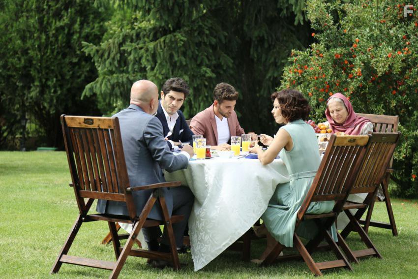 Любовь не понимает слов