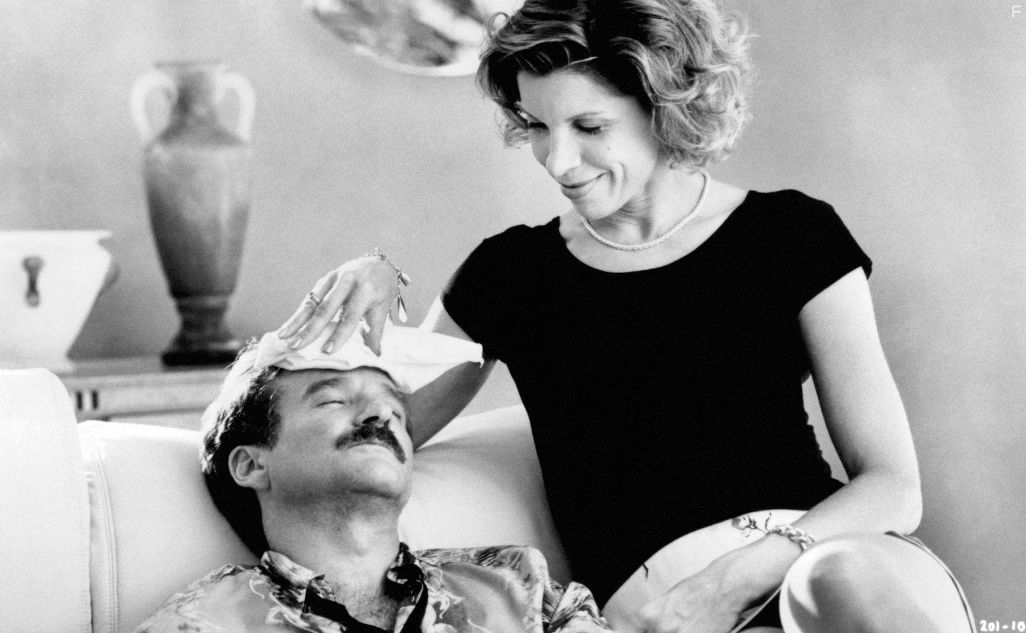 Robin Williams and Christine Baranski in Клетка для пташек (1996)