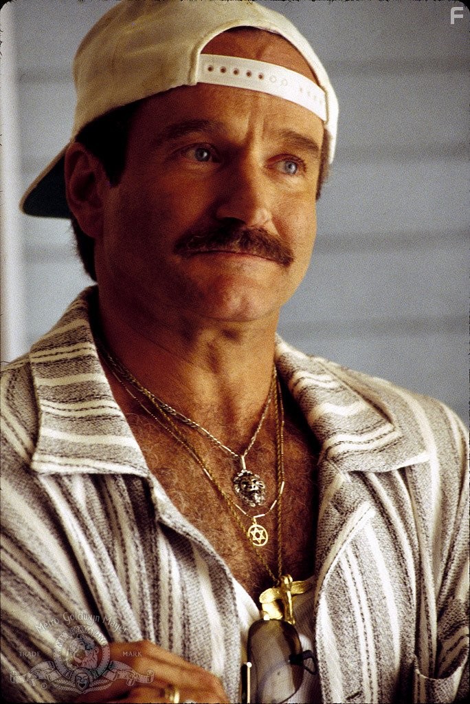 Robin Williams in Клетка для пташек (1996)