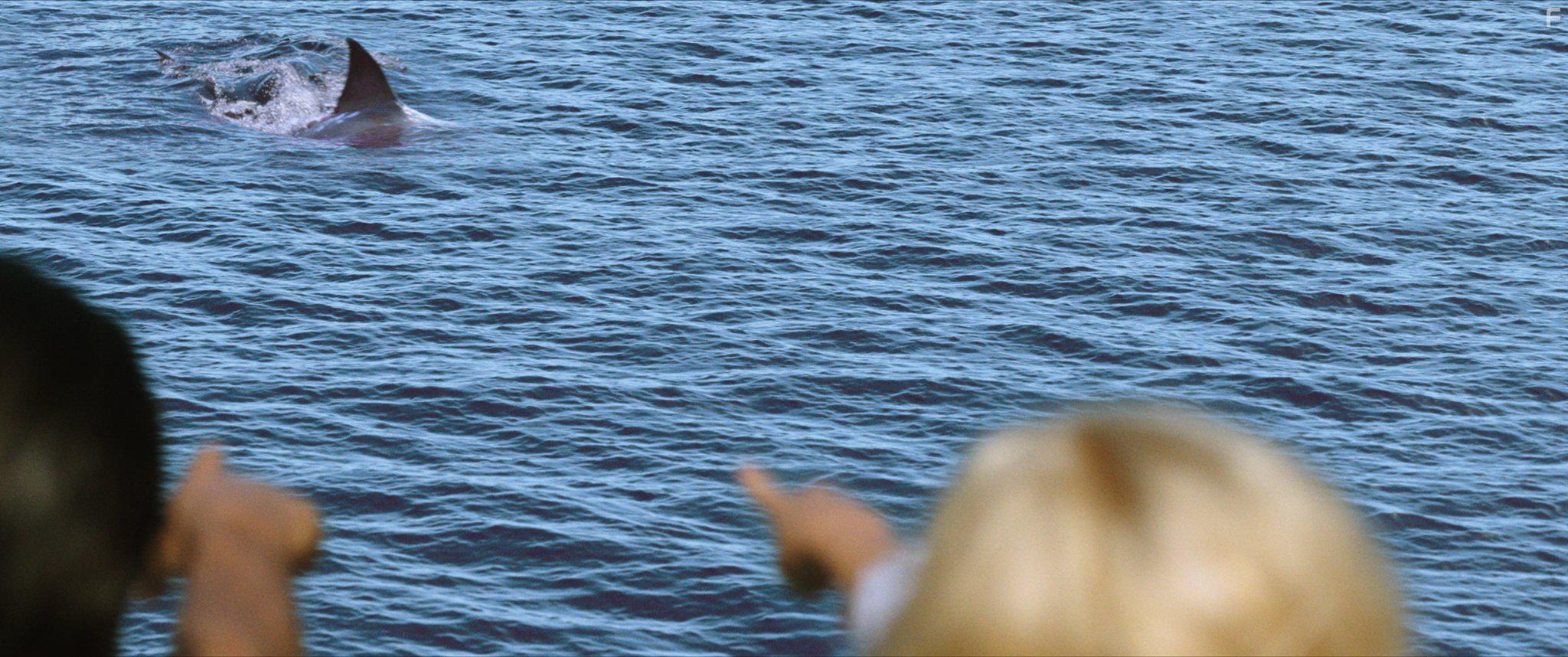 47 Meters Down (2017)