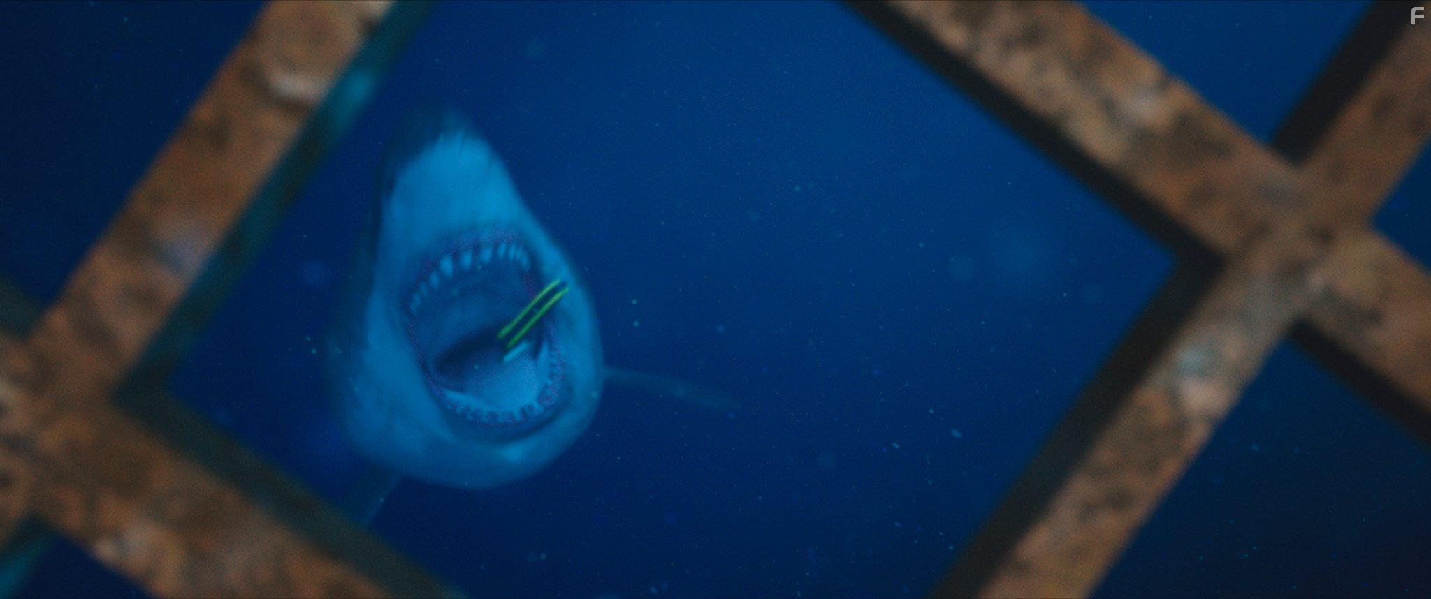 47 Meters Down (2017)