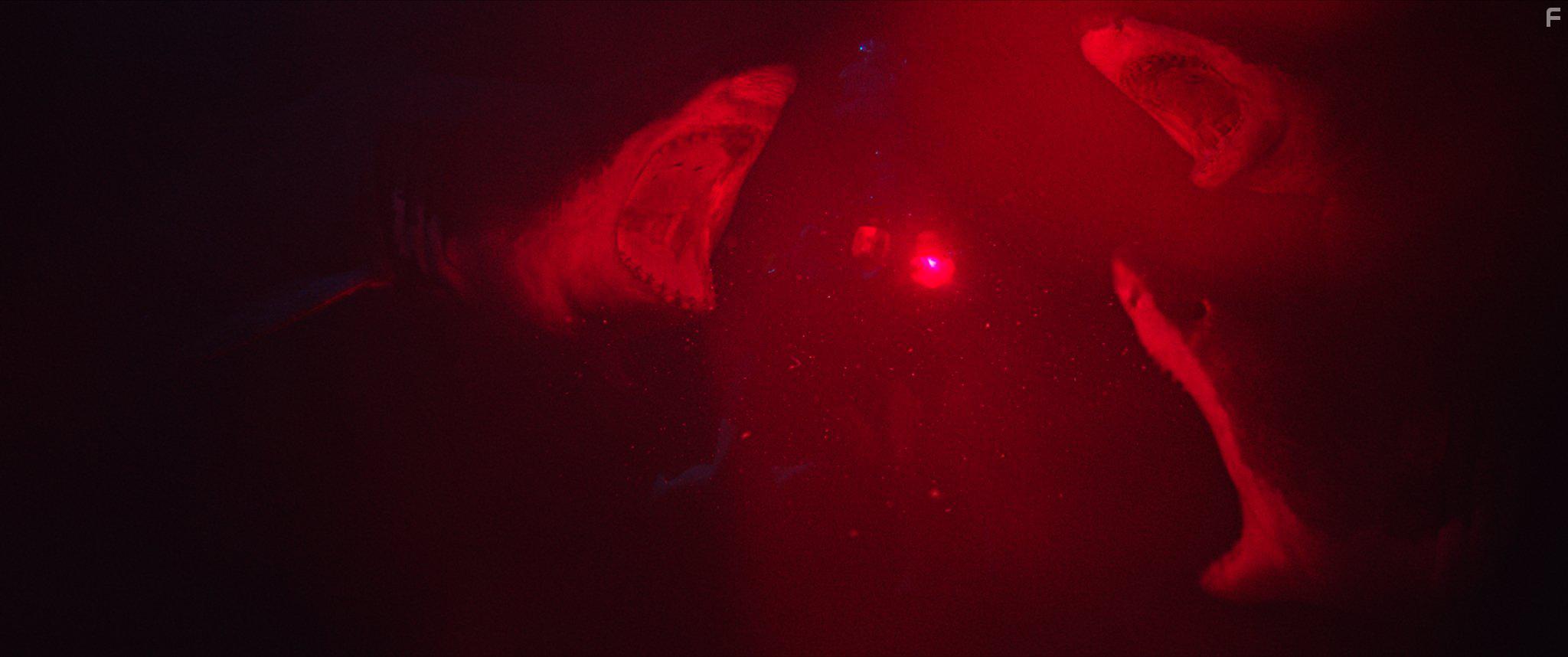 47 Meters Down (2017)