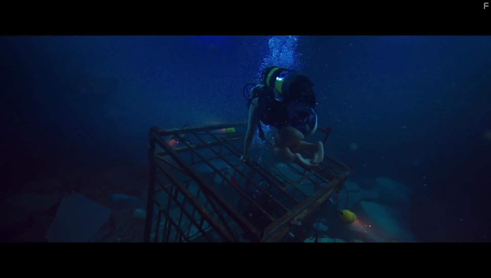 47 Meters Down (2017)
