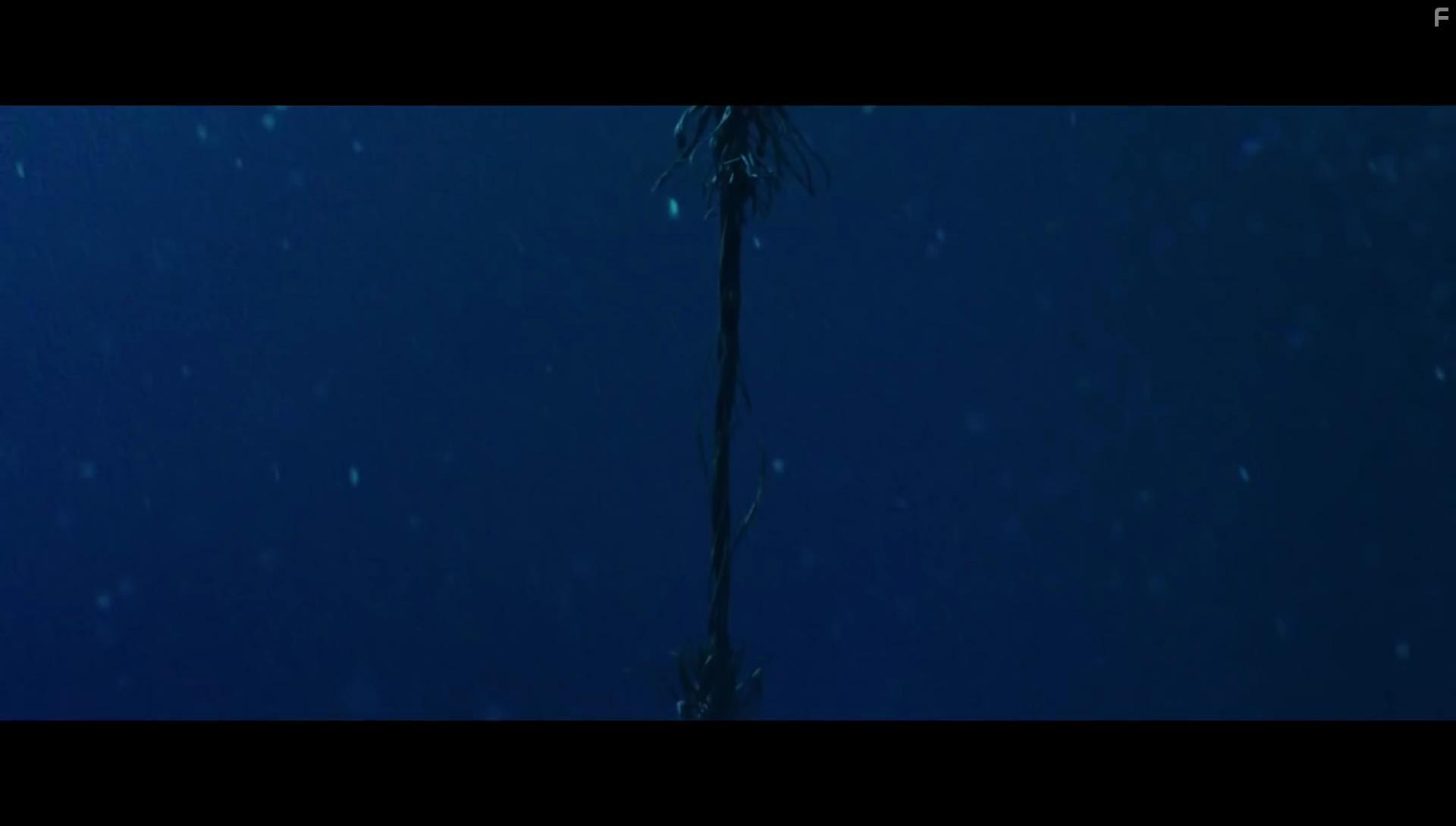 47 Meters Down (2017)