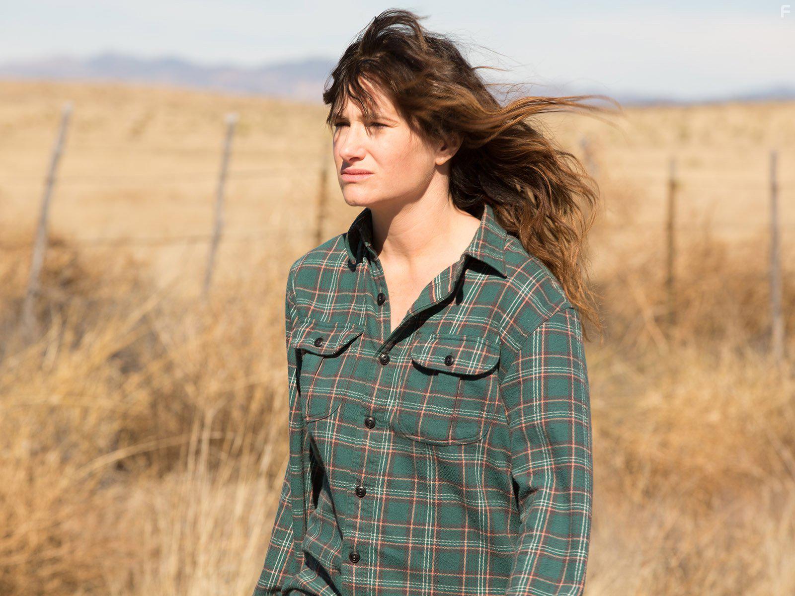 Kathryn Hahn in I Love Dick (2016)