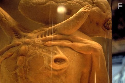 Чужoй 4: Воскрешение (1997)