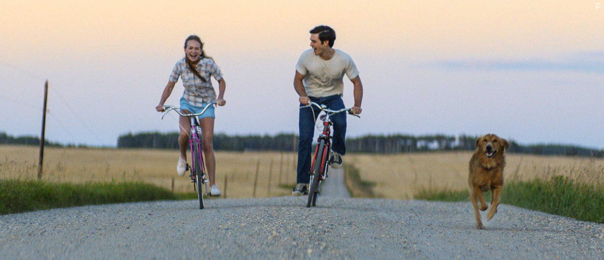 Luke Kirby and Britt Robertson in A Dog's Purpose (2017)