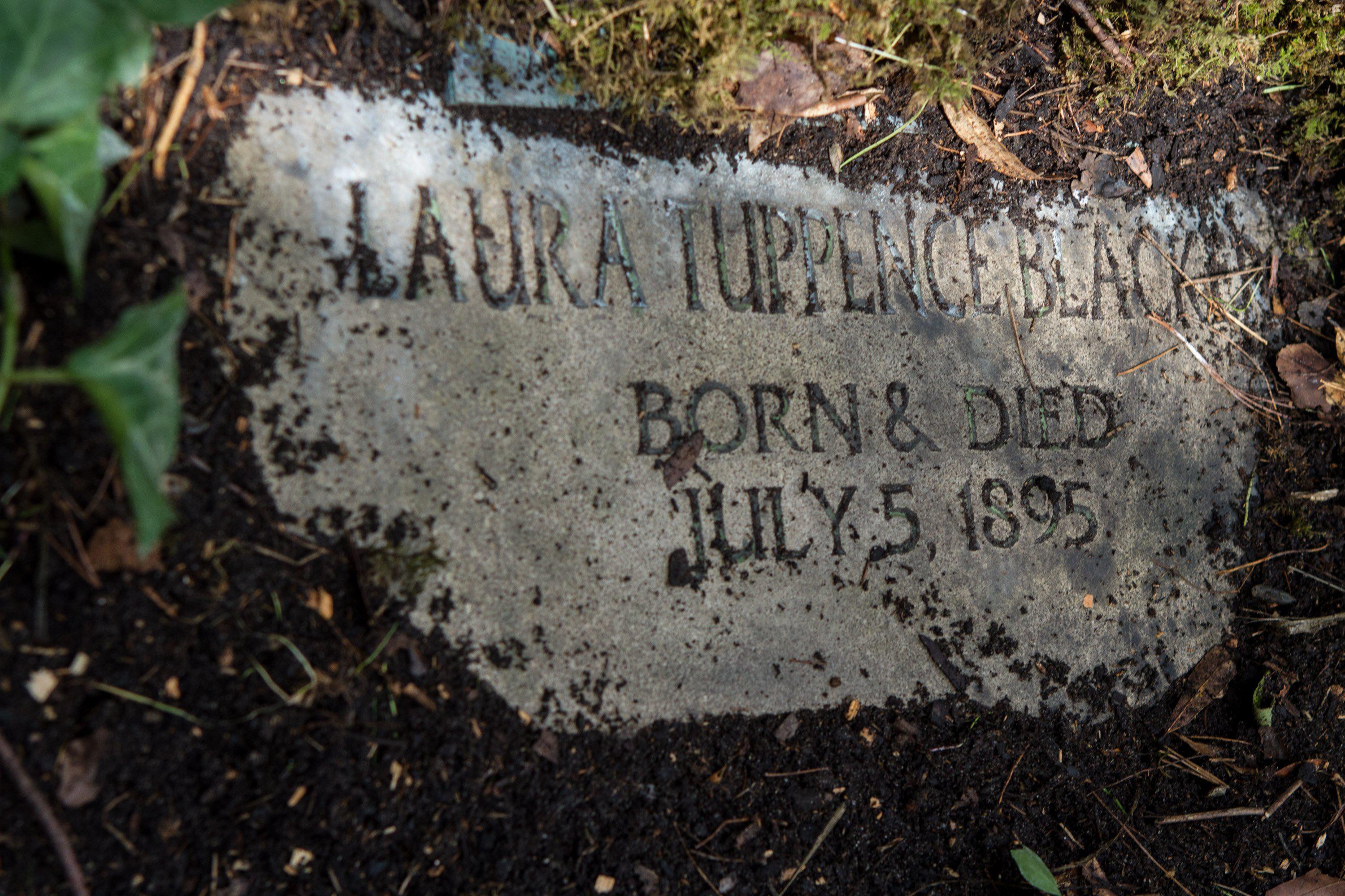 The Disappointments Room (2016)