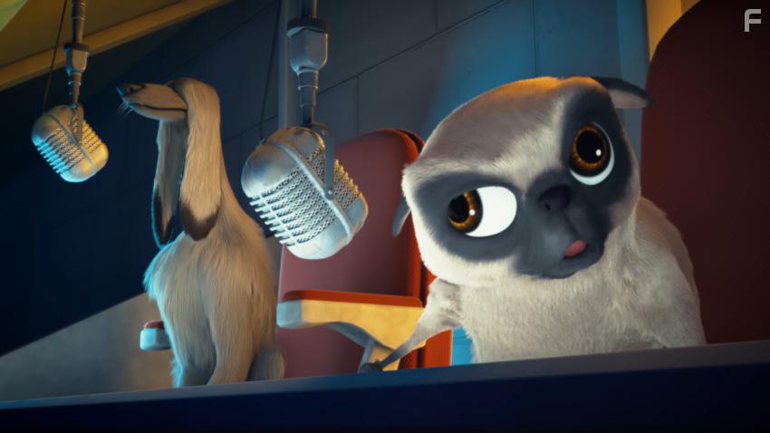 Большой собачий побег #1