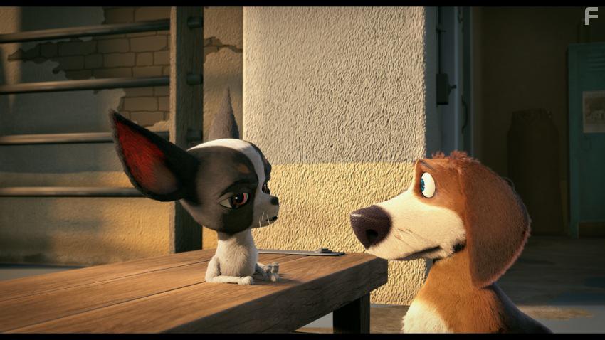 Большой собачий побег #10