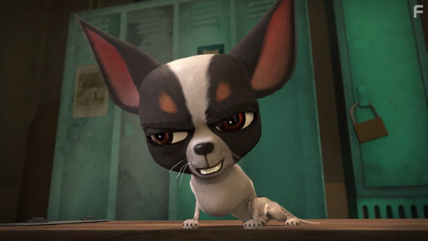 Большой собачий побег #11