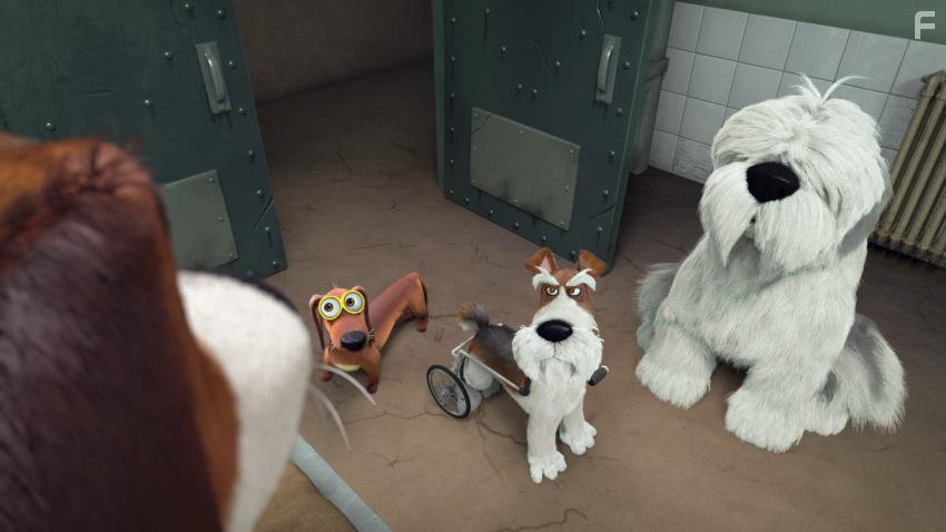 Большой собачий побег #13