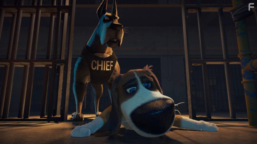 Большой собачий побег #17