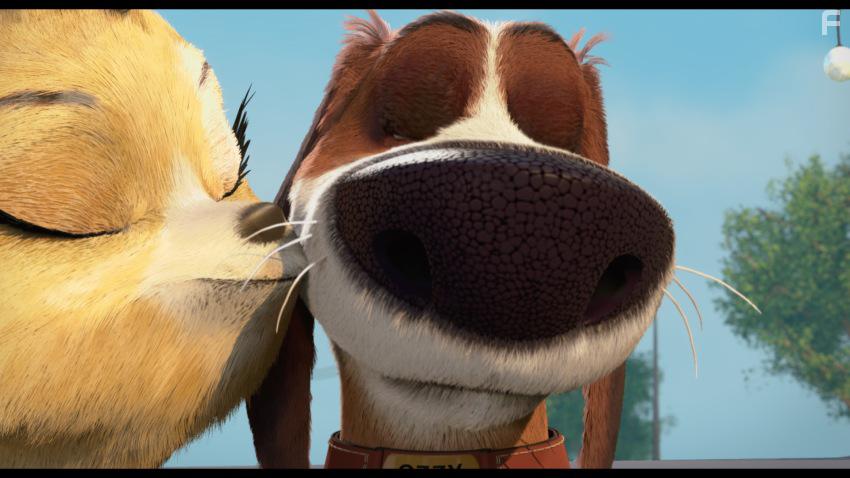 Большой собачий побег #19