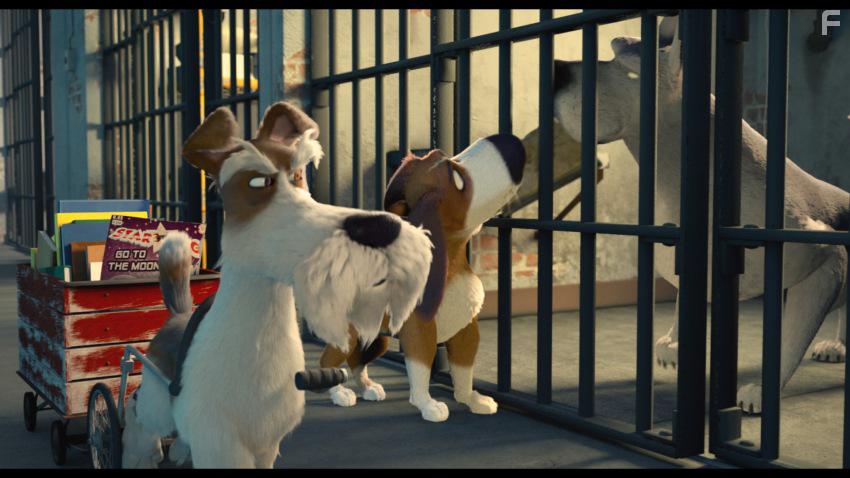 Большой собачий побег #20