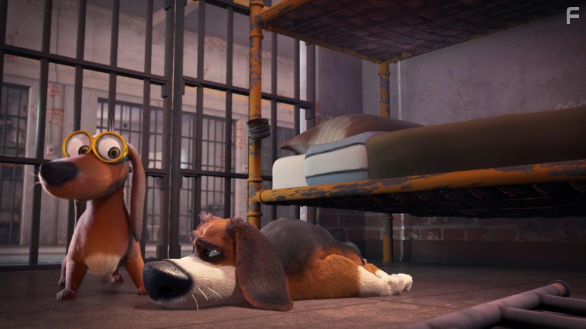 Большой собачий побег #21