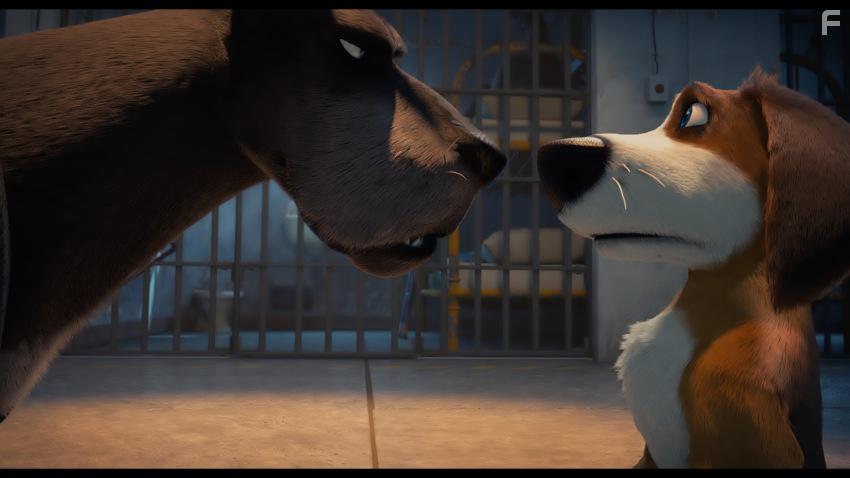 Большой собачий побег #22