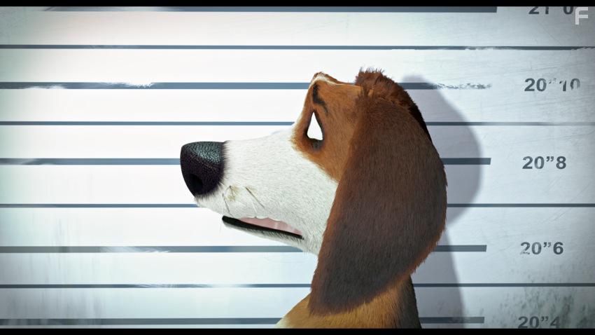 Большой собачий побег #24