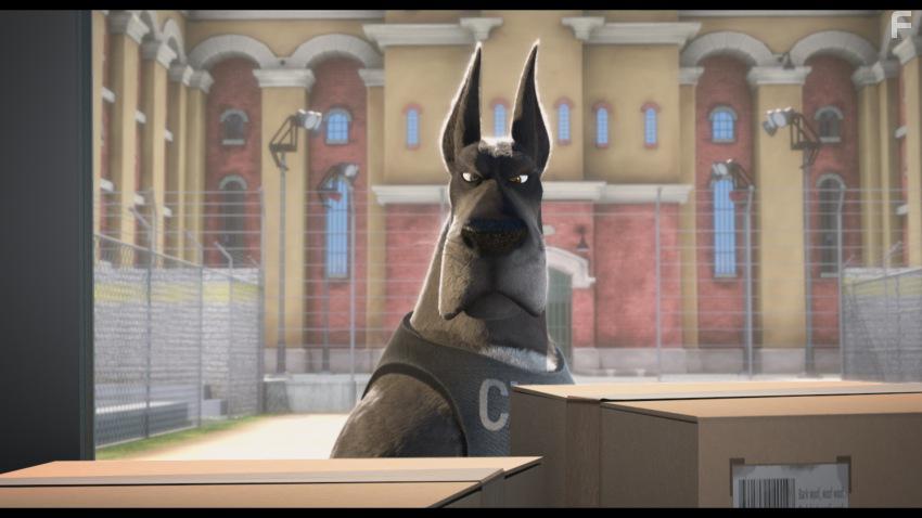 Большой собачий побег #25