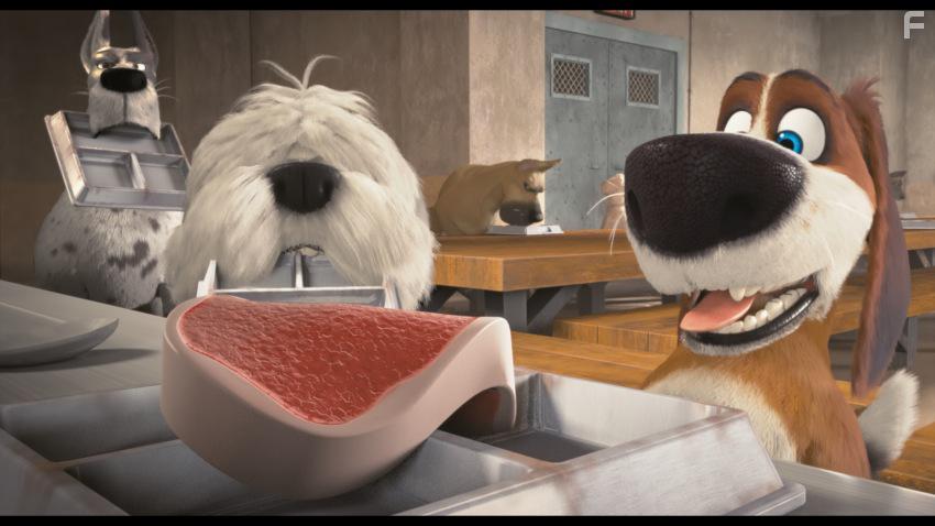 Большой собачий побег #26