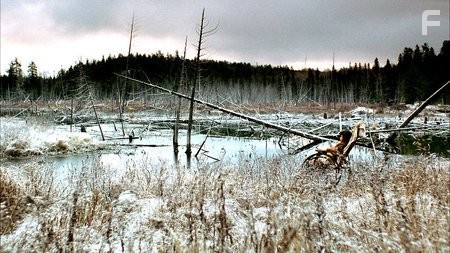 That Beautiful Somewhere (2006)