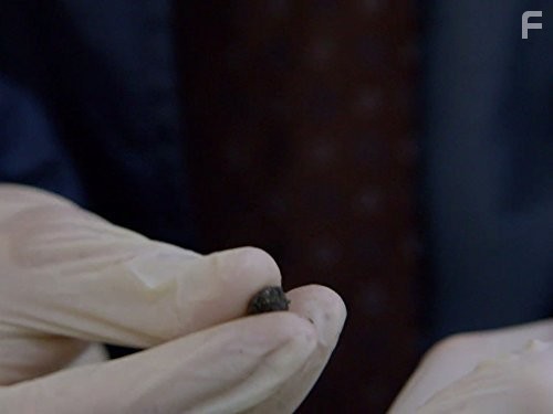 Закон и порядок: Лос-Анджелес (2010)