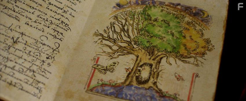 Источник #21