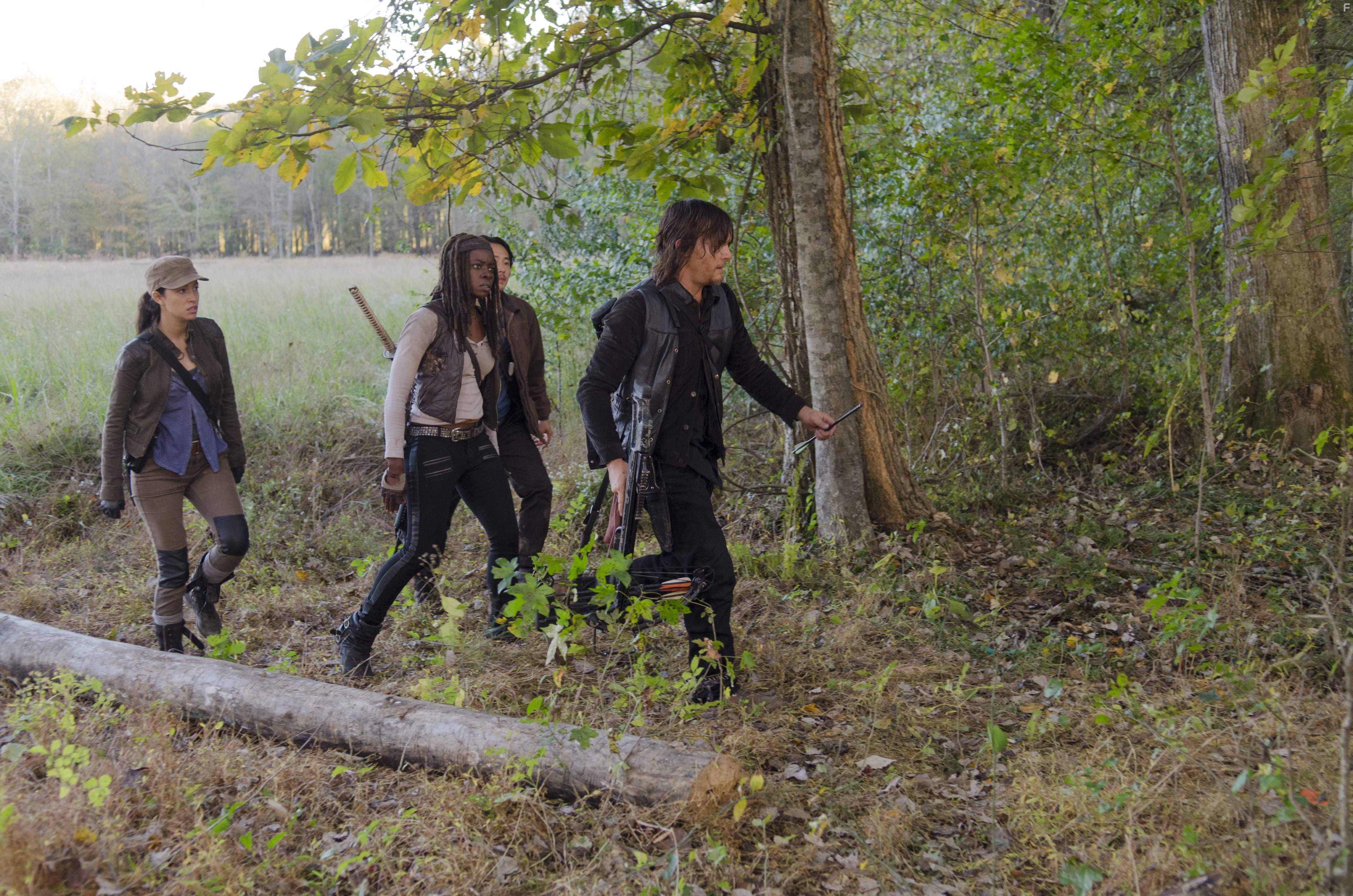 Norman Reedus, Christian Serratos, Danai Gurira, and Steven Yeun in Ходячие мертвецы (2010)