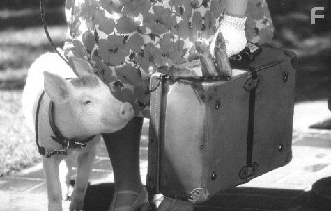 Babe: Pig in the City (1998)