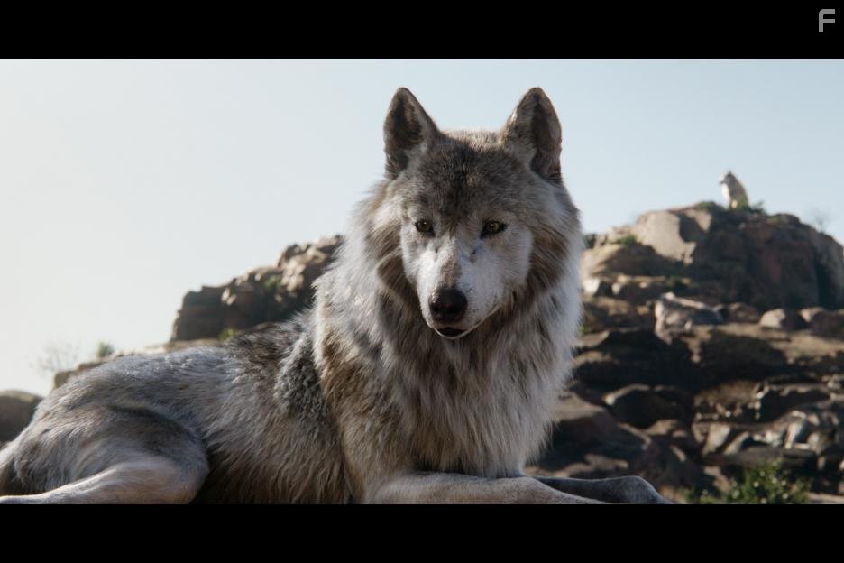 Lupita Nyong'o in Книга джунглей (2016)