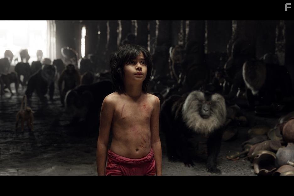 Neel Sethi in Книга джунглей (2016)