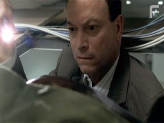 Gary Sinise in Место преступления Нью-Йорк (2004)