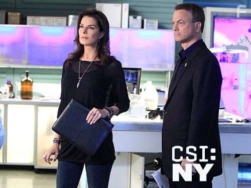 Gary Sinise and Sela Ward in Место преступления Нью-Йорк (2004)