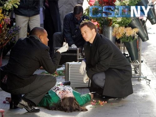 Место преступления Нью-Йорк (2004)