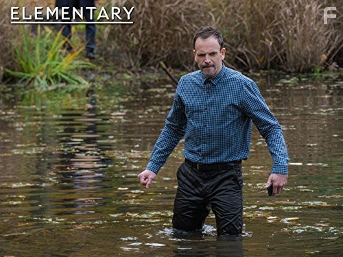 Jonny Lee Miller in Элементарно (2012)