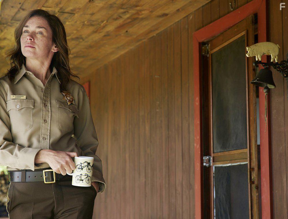 Julianne Nicholson in Eyewitness (2016)