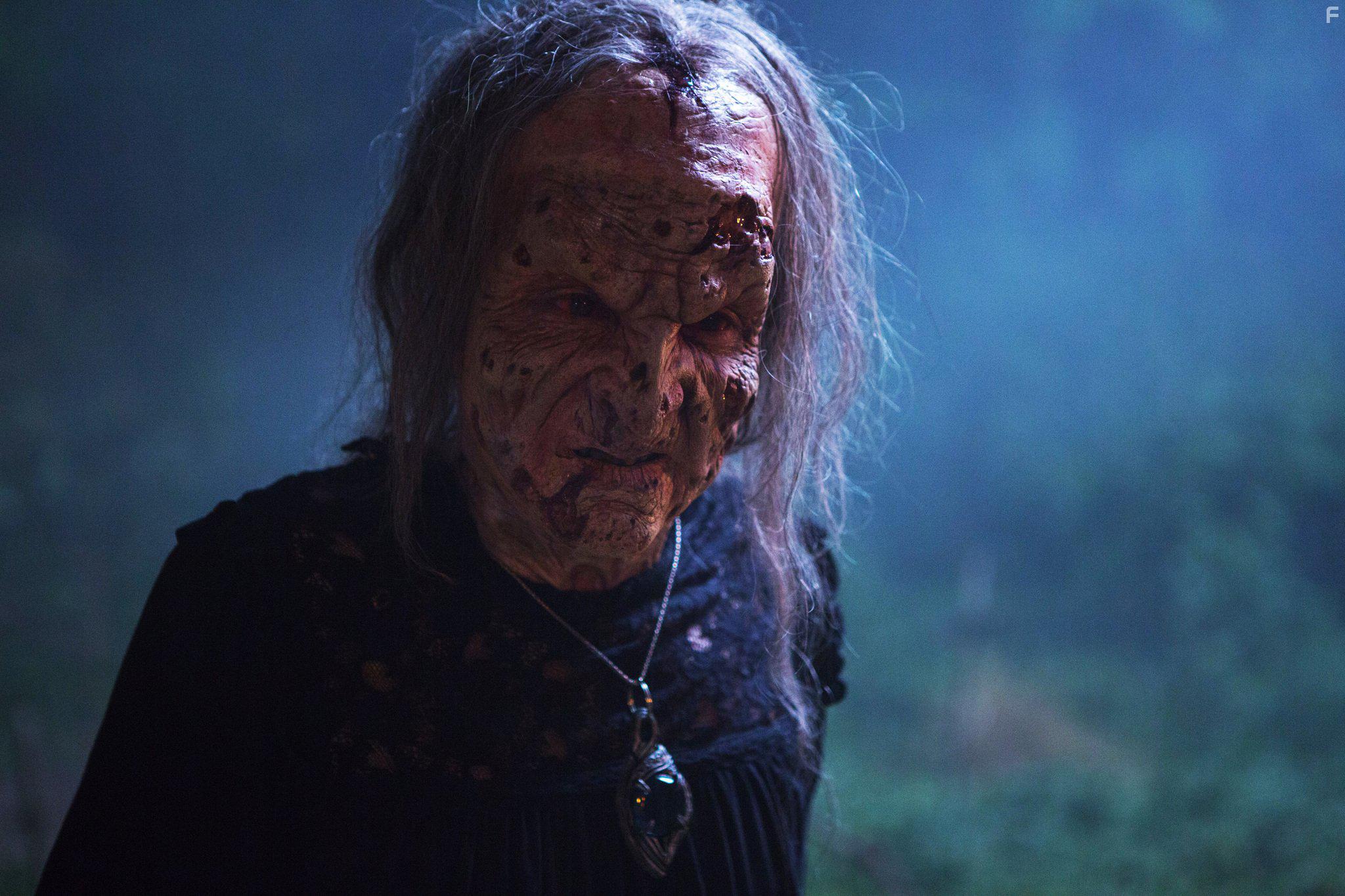 Mick Ignis in Stan Against Evil (2016)