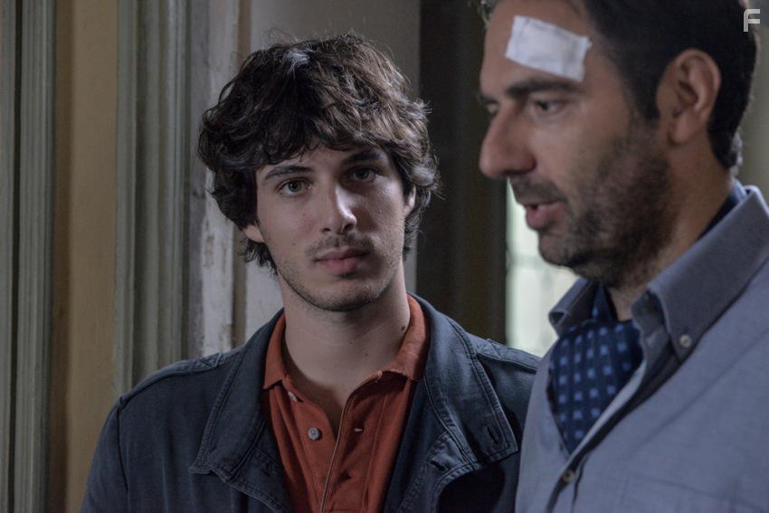 Венецианские львы #15