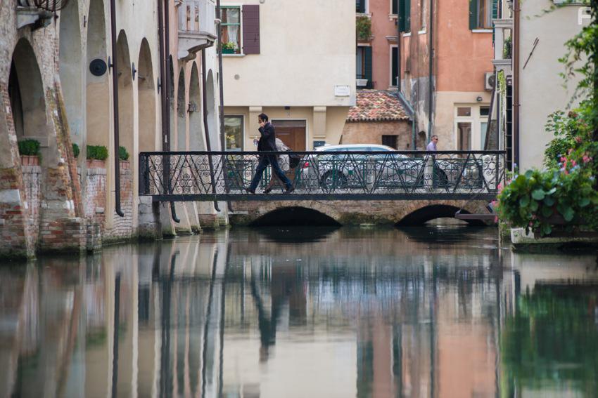 Венецианские львы #22