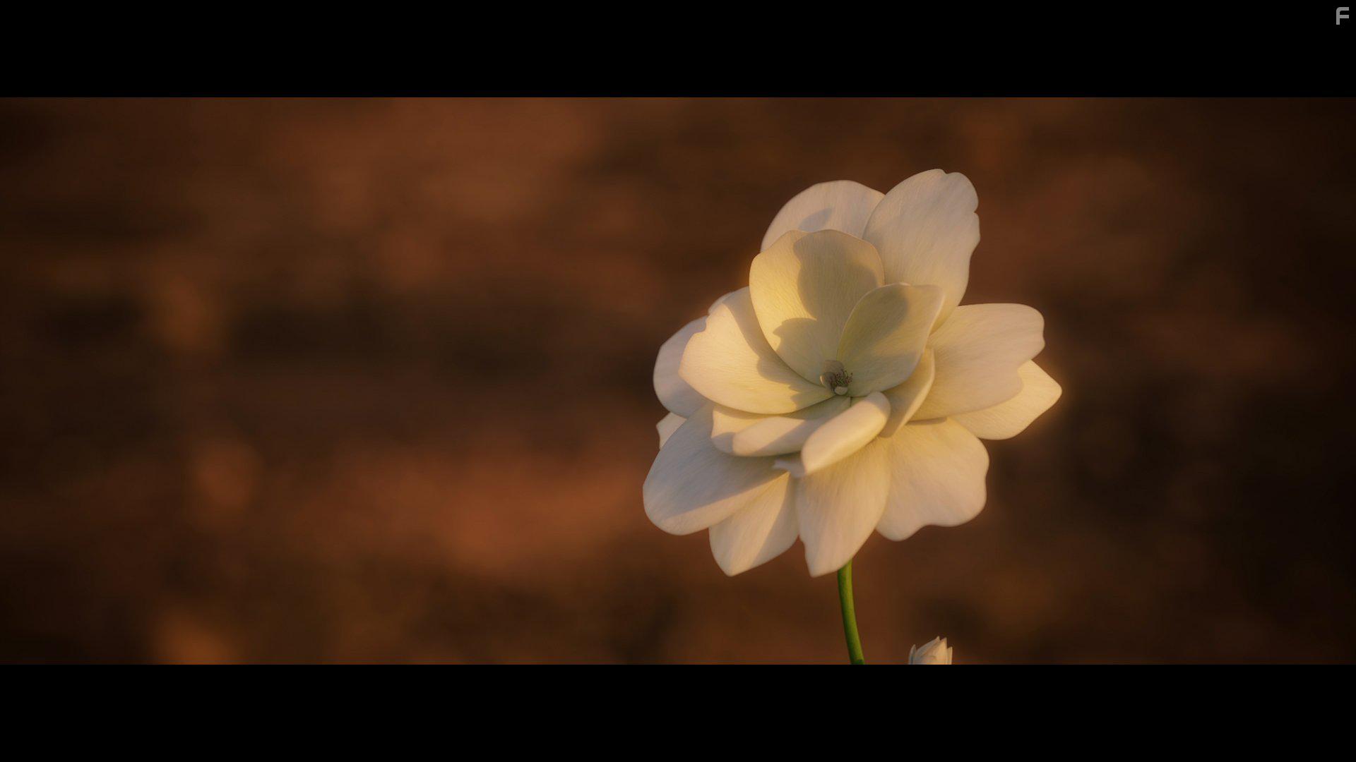 Bilal: A New Breed of Hero (2015)