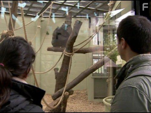 The Genius of Charles Darwin (2008)