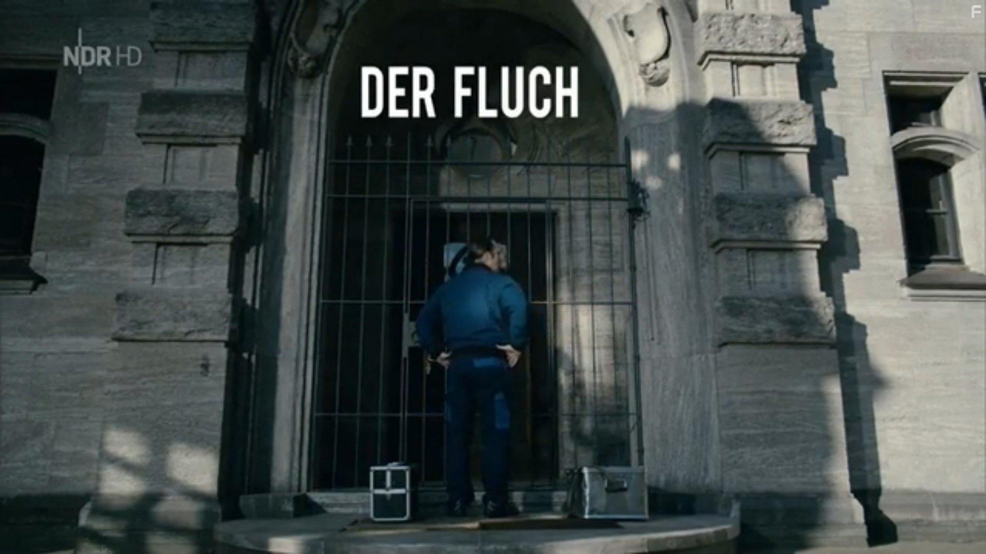 Bjarne Mdel in Der Tatortreiniger (2012)