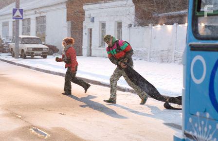 Тариф Новогодний #24