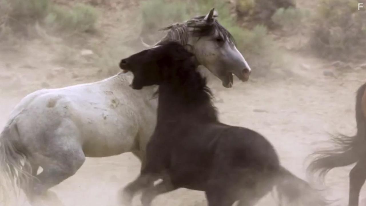 Planet Earth II (2016)