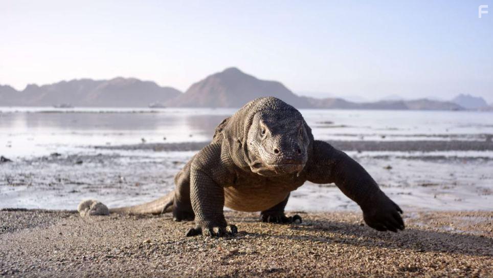 Planet Earth II (2016)