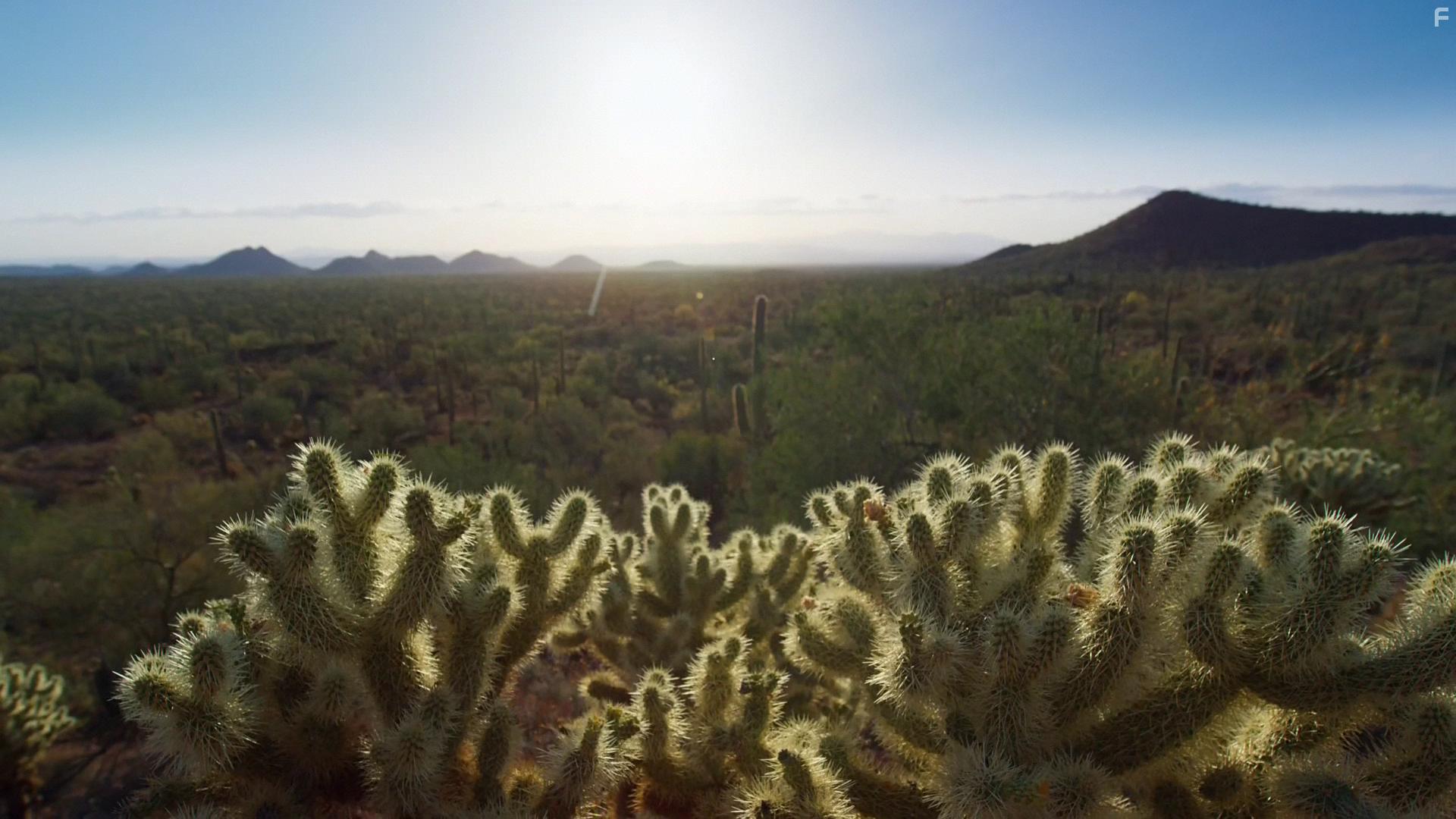 Planet Earth II (2016)